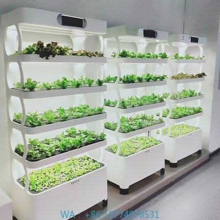 Automatyczny system hydroponic – Home Automation Systems Diy recenzja i cena